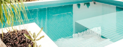 green-potted-plant-beside-swimming-pool.jpg green potted plant beside swimming pool